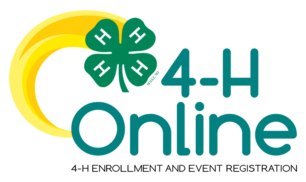 4-HOnline Logo_2019