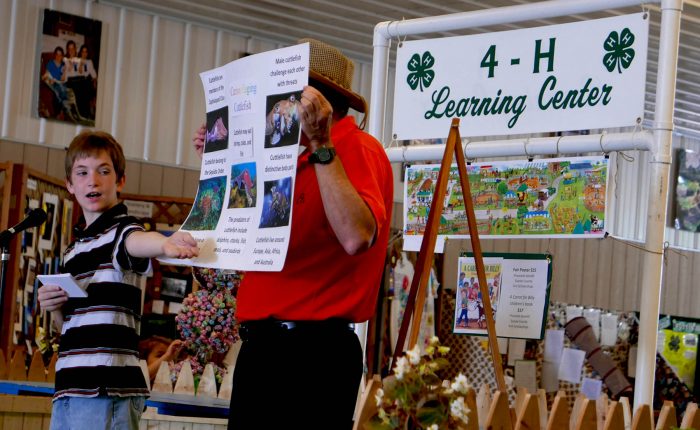 youth presenting at fair