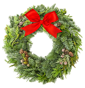 Christmas wreath from fir, pine and spruce twigs with cones, berries and ribbon bow isolated on white background